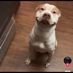 Meet your Posher, Vanesa